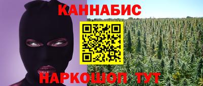 сатива Кулебаки