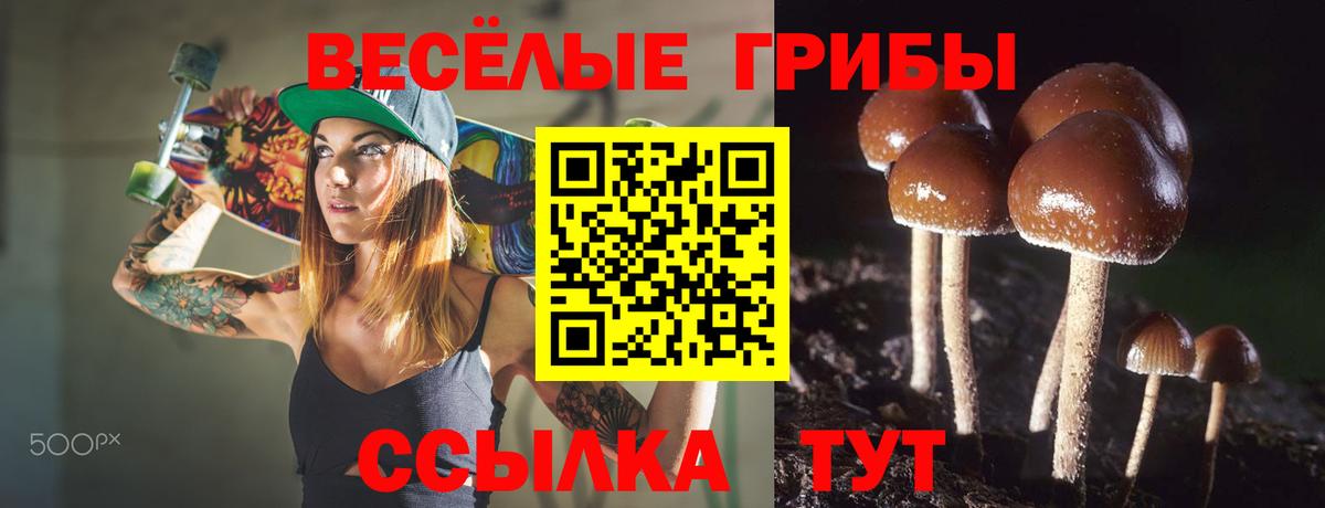 Галлюциногенные грибы Magic Shrooms Сегежа